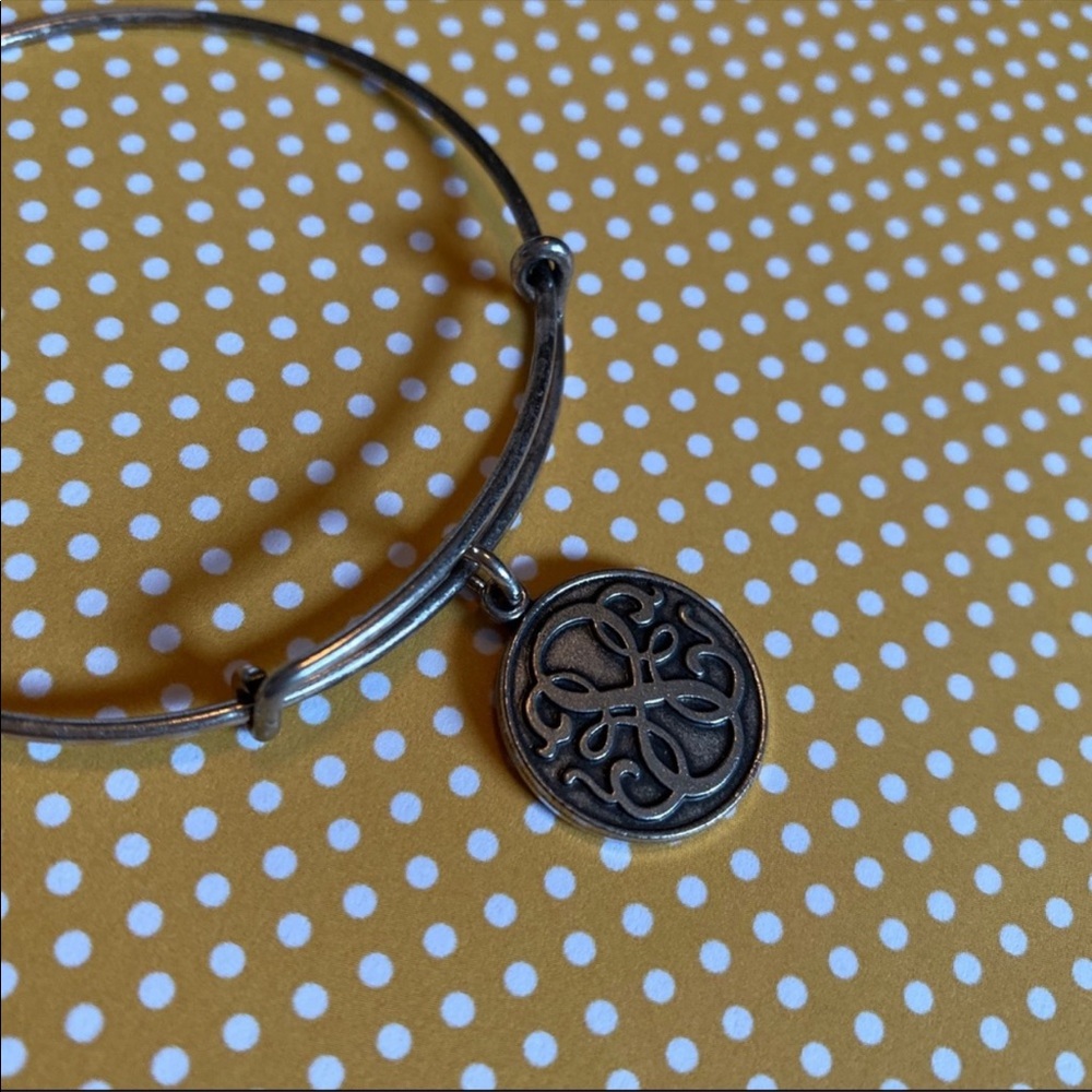 Alex and Ani Path of Life bangle in Raf. Silver - Picture 7 of 8